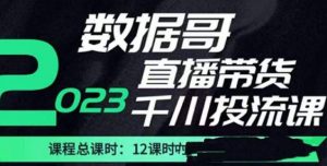 数据哥2023直播电商巨量千川付费投流实操课，快速掌握直播带货运营投放策略-一米创业记