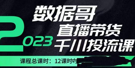 数据哥2023直播电商巨量千川付费投流实操课，快速掌握直播带货运营投放策略-一米创业记