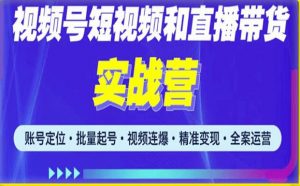 2023最新微信视频号引流和变现全套运营实战课程，小白也能玩转视频号短视频和直播运营-一米创业记