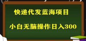 2023最新蓝海快递代发项目，小白零成本照抄也能日入300+-一米创业记