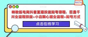 峰教练电商抖音直播投流起号课程：巨量千川全流程投放+小店随心推全流程+起号方式-一米创业记