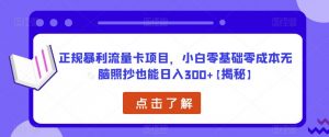 正规暴利流量卡项目，小白零基础零成本无脑照抄也能日入300+【揭秘】-一米创业记
