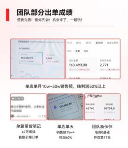 2023小红书电商火爆全网，新晋红利，风口项目，单店收益在3000-30000！-一米创业记