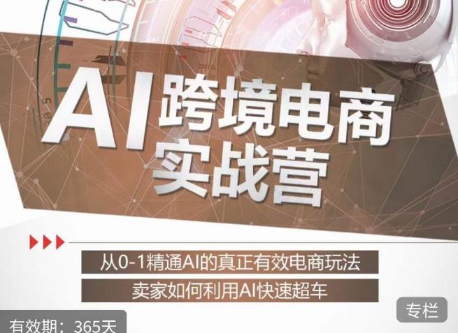 白龙老师·AI跨境电商实战营：从0-1精通Al的真正有效电商玩法，卖家如何利用Al快速超车-一米创业记