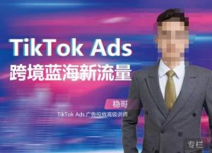 稳哥·如何投出高ROI的TikTok广告，开拓独立站卖家流量新蓝海-一米创业记