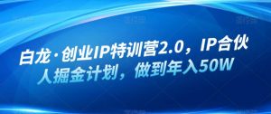 白龙·创业IP特训营2.0,IP合伙人掘金计划,做到年入50W-一米创业记