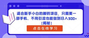 适合新手小白的搬砖项目，只需要一部手机、不用引流也能做到日入300+【揭秘】-一米创业记