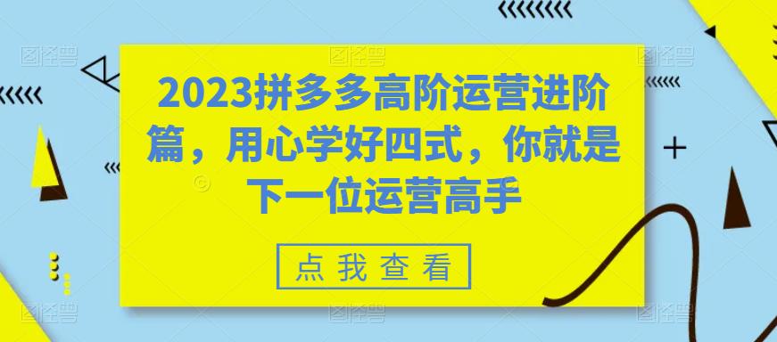 2023拼多多高阶运营进阶篇，用心学好四式，你就是下一位运营高手-一米创业记