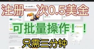 国外项目注册一次0.5美金，只需三分钟无脑操作，可批量同时放大操作，小白工作室福利【揭秘】-一米创业记