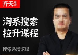 齐天电商·淘系搜索提升课程，​搜索递增标准化，动销标准化流程-一米创业记