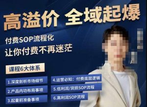 逸风-拼多多高溢价全域起爆，6大课程体系，付费玩法全套实操-一米创业记