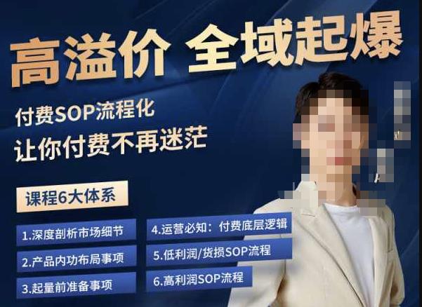 逸风-拼多多高溢价全域起爆，6大课程体系，付费玩法全套实操-一米创业记