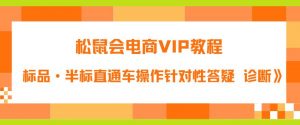 松鼠会电商VIP教程：松鼠《付费推广标品·半标直通车操作针对性答疑&诊断》-一米创业记
