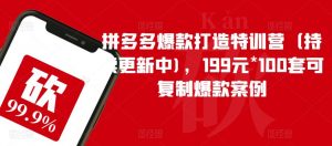 拼多多爆款打造特训营（持续更新中)，199元*100套可复制爆款案例-一米创业记