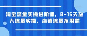 淘宝流量实操进阶课，8-15天放大流量实操，店铺流量不用愁-一米创业记