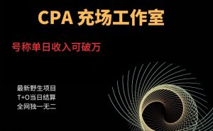 cpa充场工作室，号称单日收入10000+（揭秘）-一米创业记