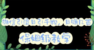 微信互推圈半自动引流方案，矩阵操作日引千人思路【详细视频教程】-一米创业记