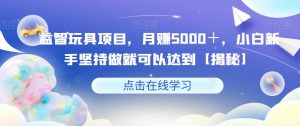 益智玩具项目，月赚5000＋，小白新手坚持做就可以达到【揭秘】-一米创业记