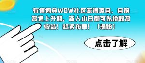有道词典WOW社区蓝海项目，目前高速上升期，新人小白都可以换取高收益！赶紧布局！【揭秘】-一米创业记