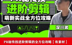 PR进阶剪辑培训班，让你快速成为剪辑大师12节视频课程+素材！-一米创业记