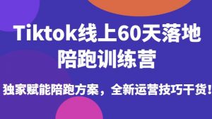 Tiktok线上60天落地陪跑训练营，独家赋能陪跑方案，全新运营技巧干货-一米创业记