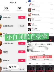 一天做完别一辈子的视频制作最近很火的《1000个野路子信息差》100%过原创【揭秘】-一米创业记