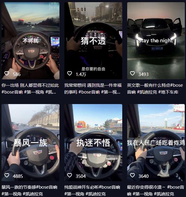 抖音开车视频项目,0基础操作,每天五分钟,月入1W+【揭秘】-一米创业记