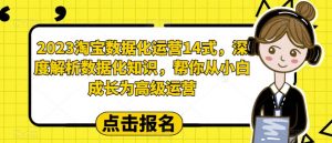 2023淘宝数据化运营14式，深度解析数据化知识，帮你从小白成长为高级运营-一米创业记