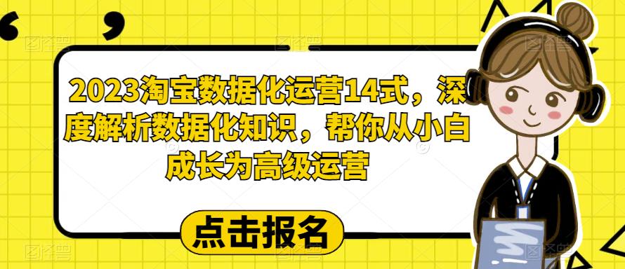2023淘宝数据化运营14式，深度解析数据化知识，帮你从小白成长为高级运营-一米创业记