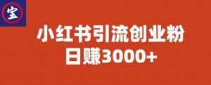 宝哥小红书引流创业粉，日赚3000+【揭秘】-一米创业记
