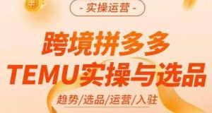 伍跃·跨境拼多多TEMU实操与选品，​趋势/选品/运营/入住（27节完整）-一米创业记