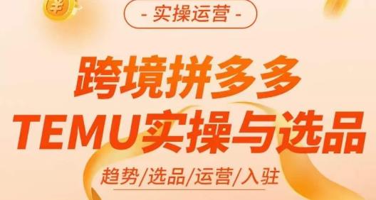 伍跃·跨境拼多多TEMU实操与选品，​趋势/选品/运营/入住（27节完整）-一米创业记