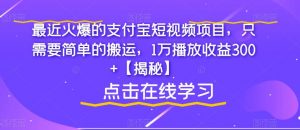 最近火爆的支付宝短视频项目，只需要简单的搬运，1万播放收益300+【揭秘】-一米创业记