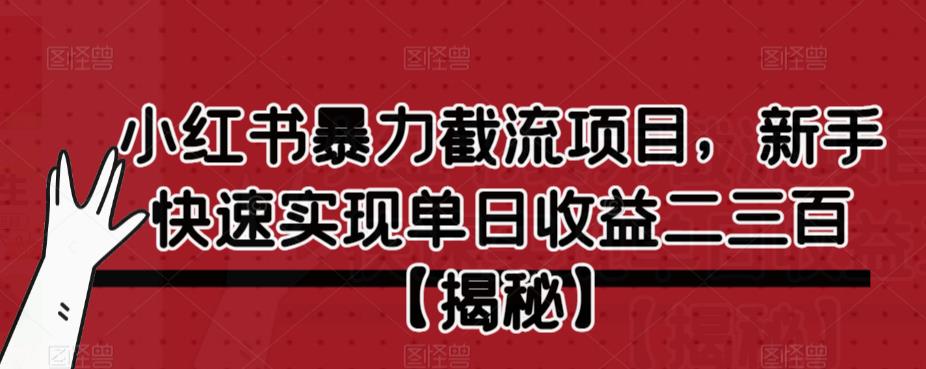 小红书暴力截流项目，新手快速实现单日收益二三百【仅揭秘】-一米创业记