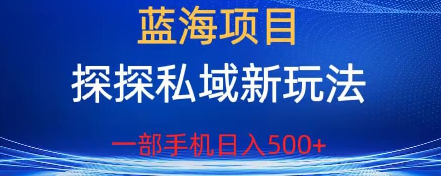 蓝海项目，探探私域新玩法，一部手机日入500+很轻松【揭秘】-一米创业记