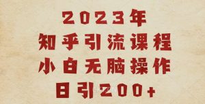 2023知乎引流课程，小白无脑操作日引200+【揭秘】-一米创业记
