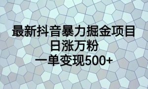 最新抖音暴力掘金项目，日涨万粉，一单变现500+【揭秘】-一米创业记