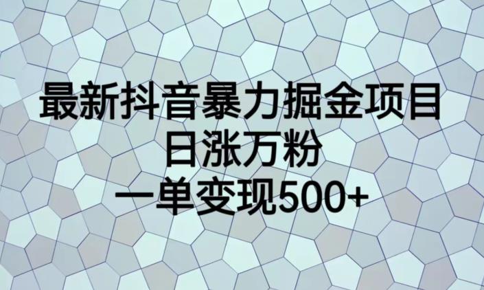 最新抖音暴力掘金项目，日涨万粉，一单变现500+【揭秘】-一米创业记
