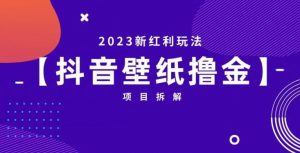 抖音壁纸小程序创作者撸金项目,2023新红利玩法【项目拆解】-一米创业记