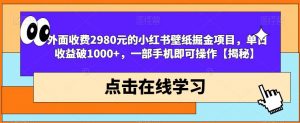 外面收费2980元的小红书壁纸掘金项目，单日收益破1000+，一部手机即可操作【揭秘】-一米创业记
