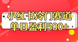 小红书冷门赛道，单日盈利500+【揭秘】-一米创业记