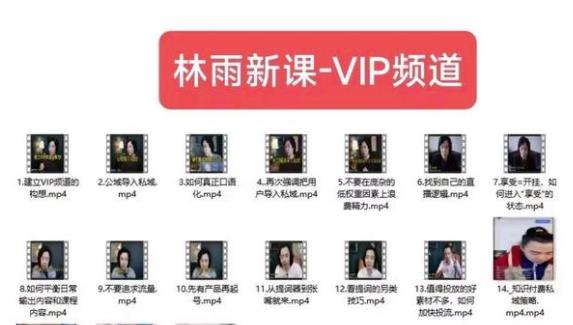 林雨新课VIP频道，玩赚私域/朋友圈/社群-一米创业记