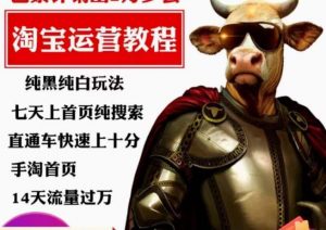 猫老师·淘系算法逆向解密，​纯黑纯白玩法，七天上首页纯搜索，手淘首页14天流量过万-一米创业记
