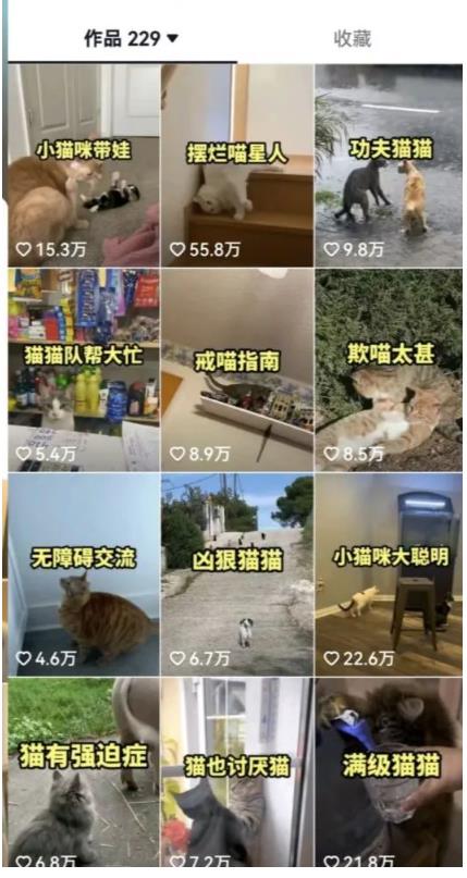 拆解：抖音盘点类中视频变现副业项目，视频版一条龙大解析分享给你-一米创业记