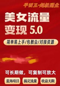 TK美女短视频变现项目无限复制（升级版），全网最高性价比项目【揭秘】-一米创业记