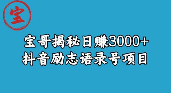 宝哥揭秘日赚3000+抖音励志语录号短视频变现项目-一米创业记