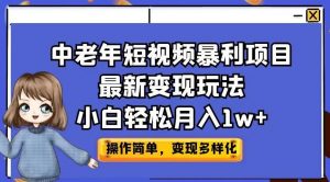 中老年短视频暴利项目最新变现玩法，小白轻松月入1w+【揭秘】-一米创业记