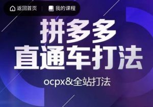 互力·拼多多直通车打法，ocpx&全站打法-一米创业记