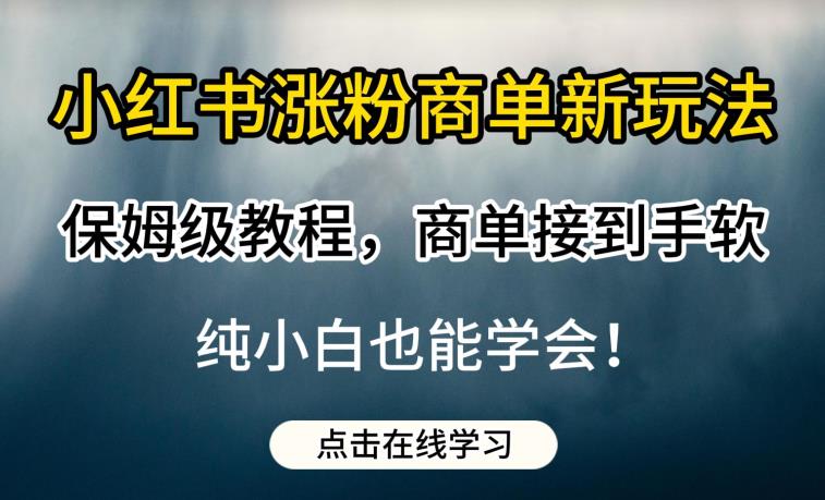 小红书涨粉商单新玩法,保姆级教程,商单接到手软,纯小白也能学会【揭秘】-一米创业记