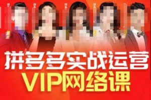推易拼多多VIP全套直播课程，拼多多店铺实操玩法+实战玩法选款内功+直通车高阶等-一米创业记